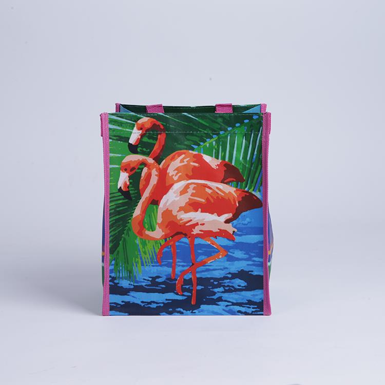 eco-friendly pp woven shopping bags
